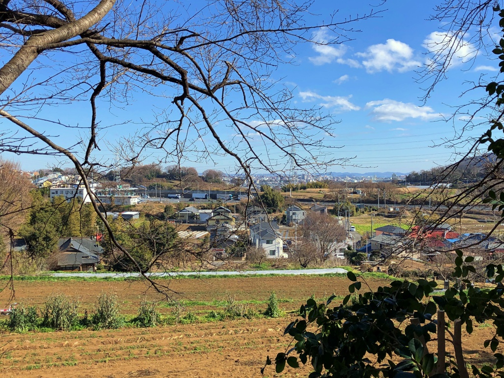 f:id:miwa3k:20190122172433j:plain
