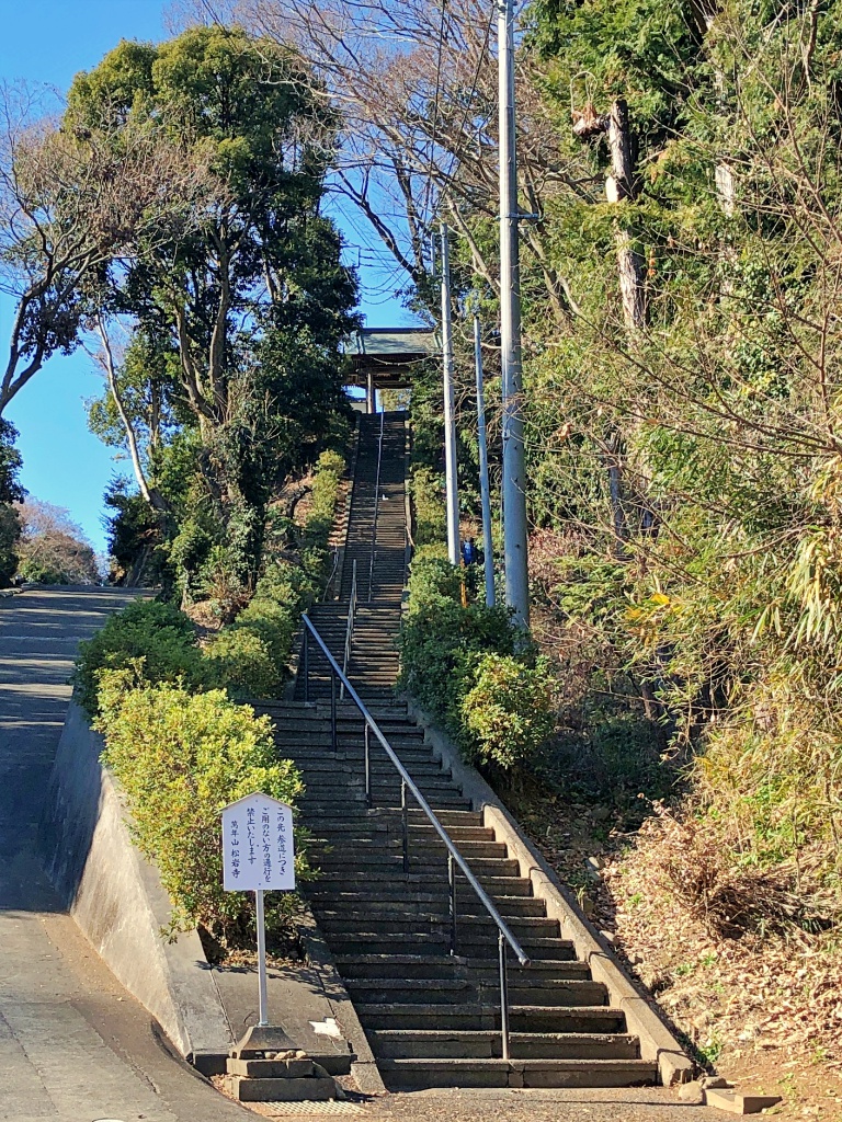 f:id:miwa3k:20190122172434j:plain