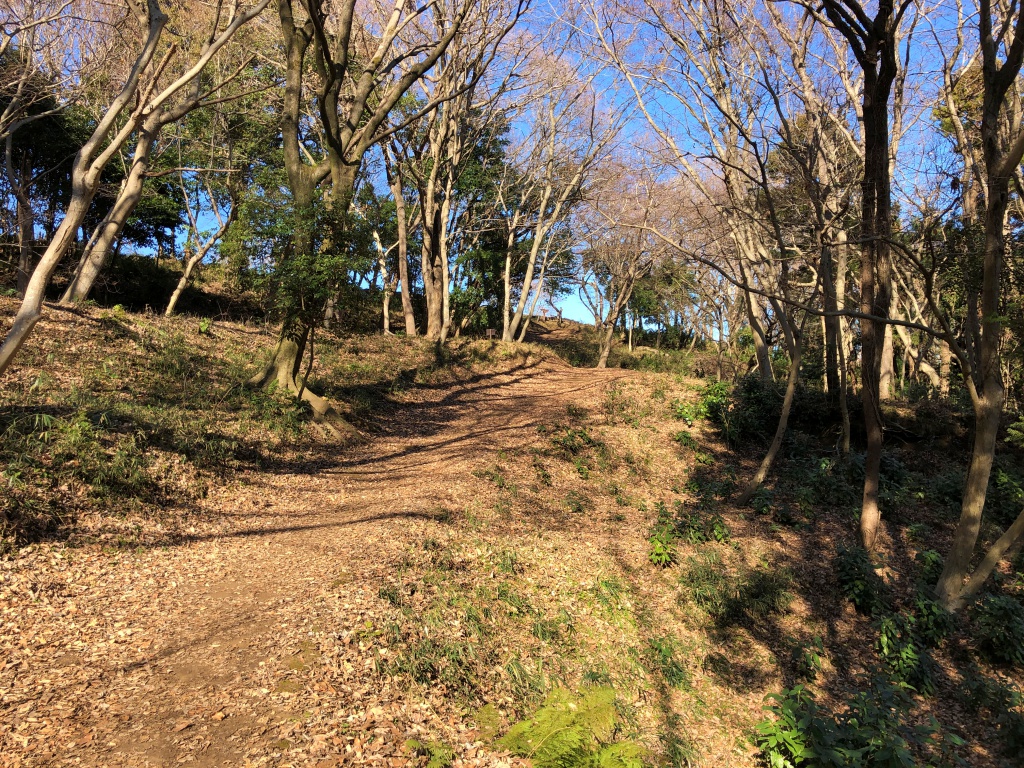 f:id:miwa3k:20190122172438j:plain