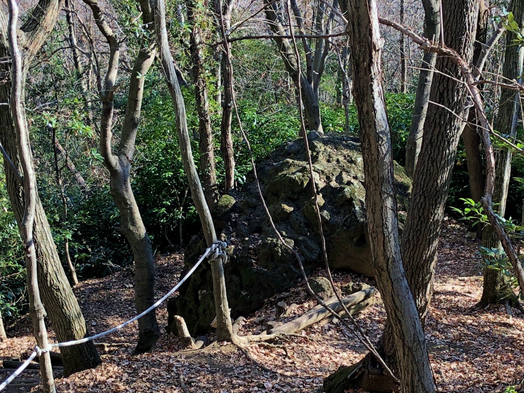 f:id:miwa3k:20190122172443j:plain