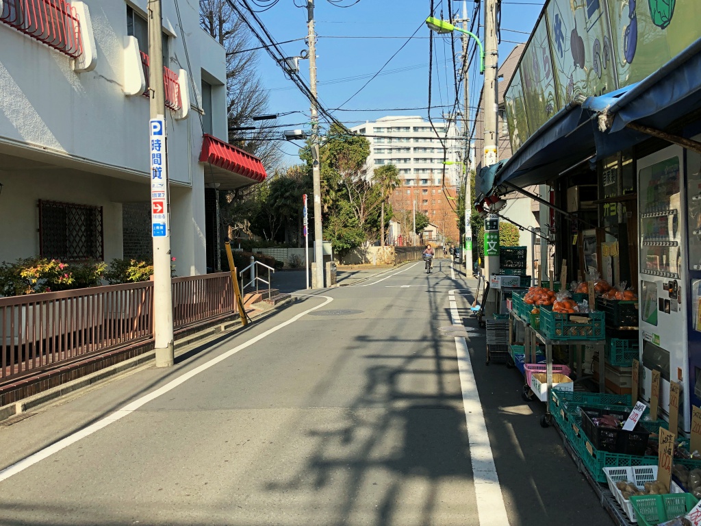 f:id:miwa3k:20190126173322j:plain