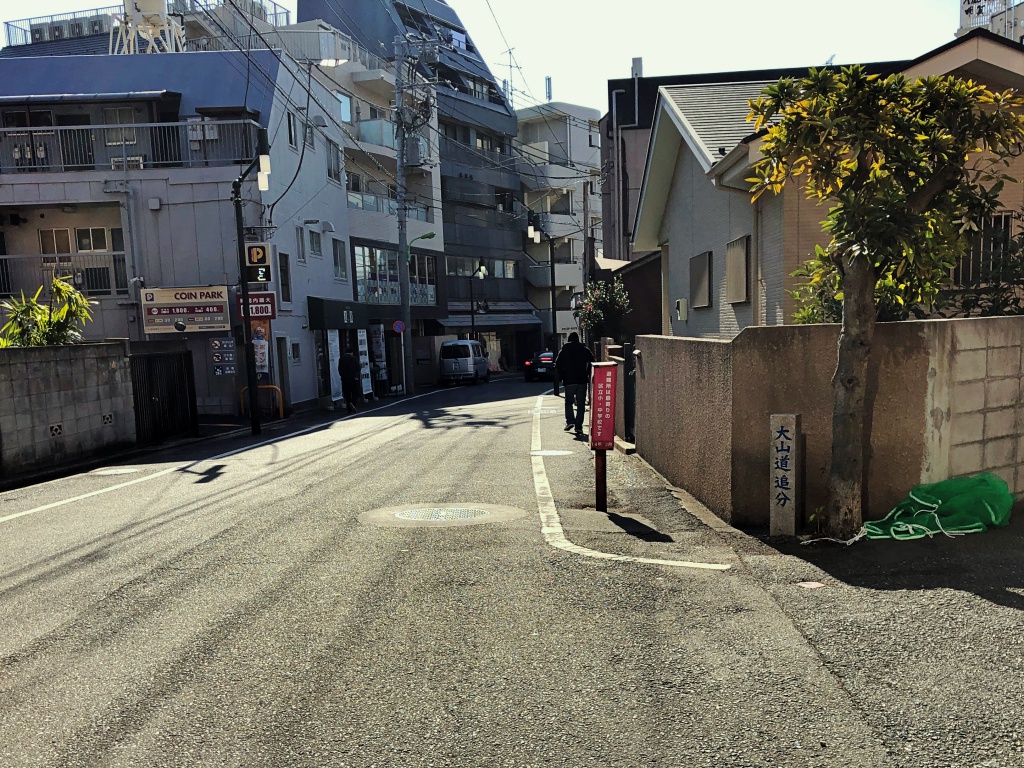世田谷の矢倉沢往還・青山通り大山道 三軒茶屋から二子の渡し 初期の道すじを歩く - 散歩の途中