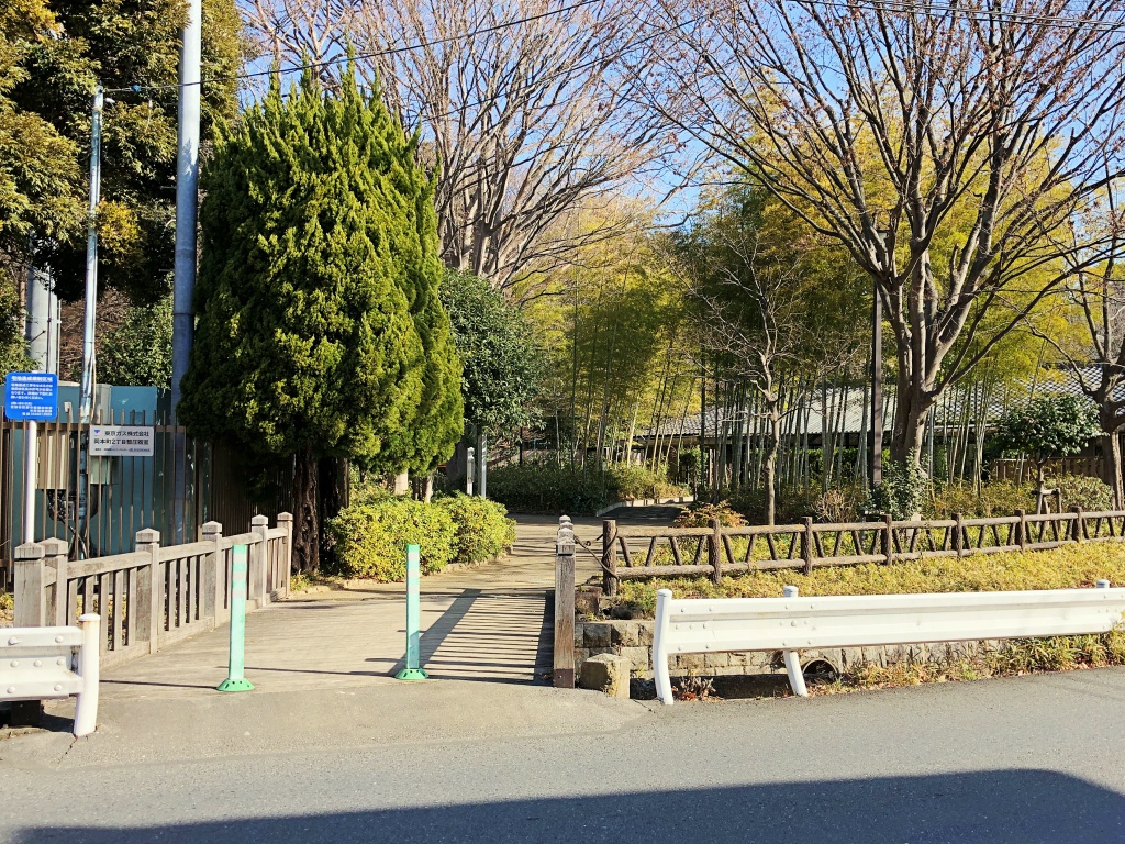 f:id:miwa3k:20190130150833j:plain