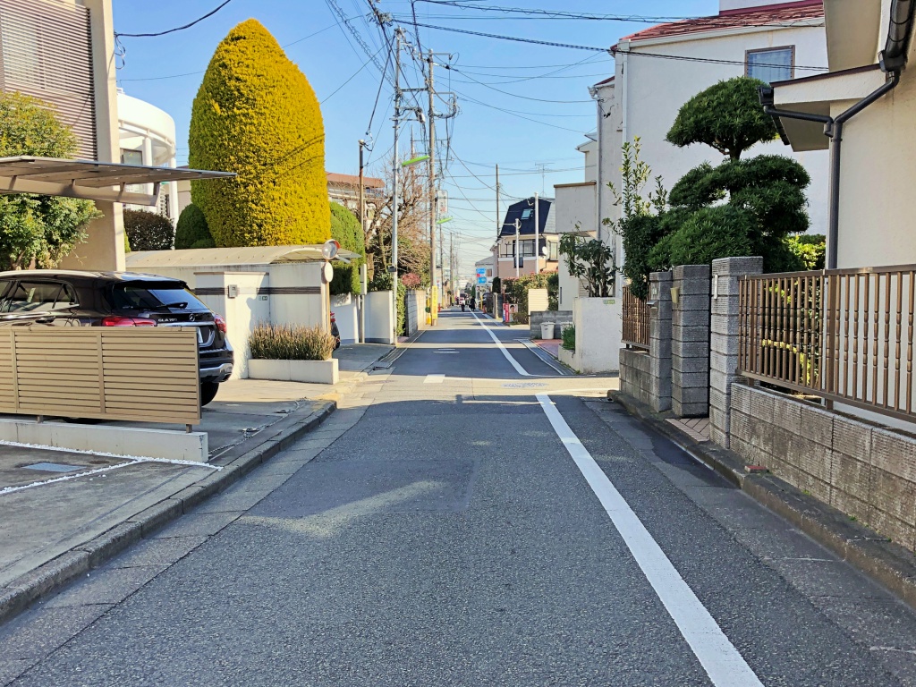 f:id:miwa3k:20190130150839j:plain
