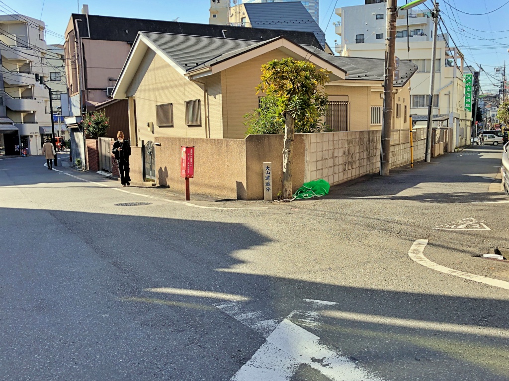 f:id:miwa3k:20190130150841j:plain
