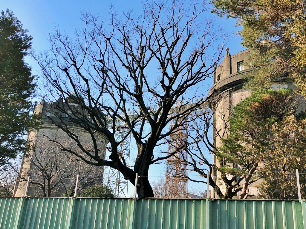 f:id:miwa3k:20190130150849j:plain