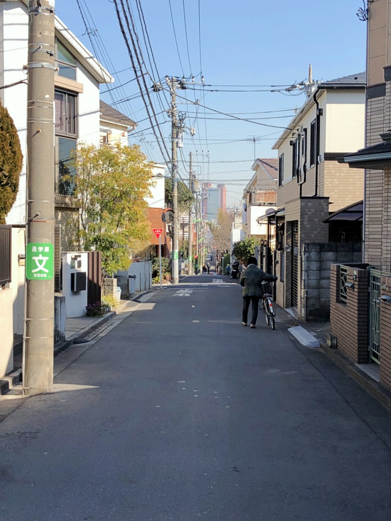 f:id:miwa3k:20190130150853j:plain