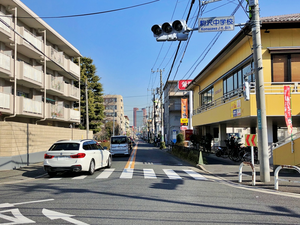 f:id:miwa3k:20190130150854j:plain