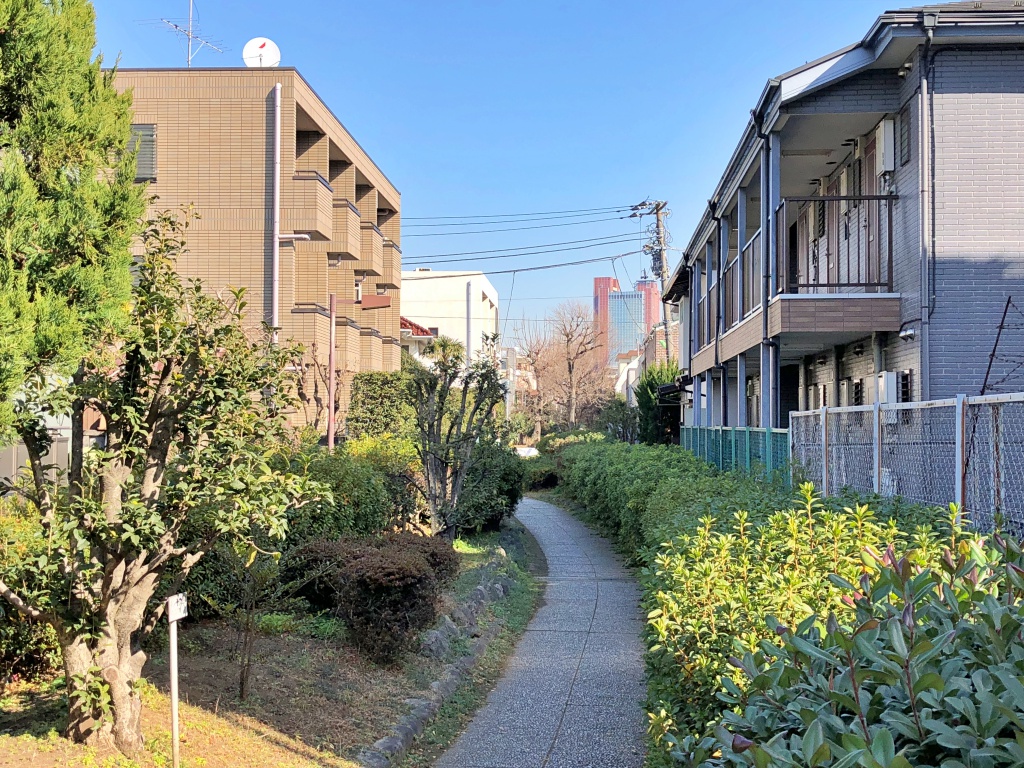 f:id:miwa3k:20190130150856j:plain
