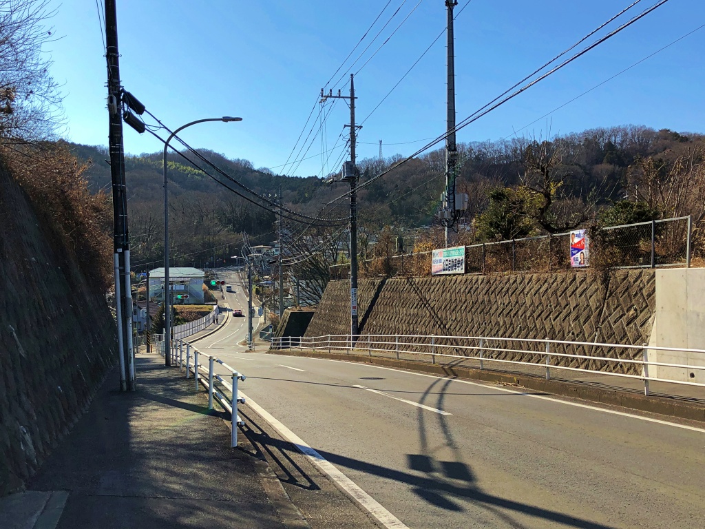 f:id:miwa3k:20190204123505j:plain