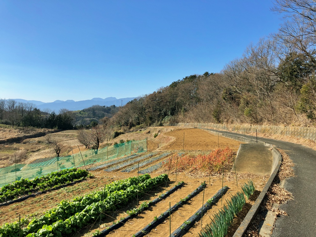 f:id:miwa3k:20190204123508j:plain