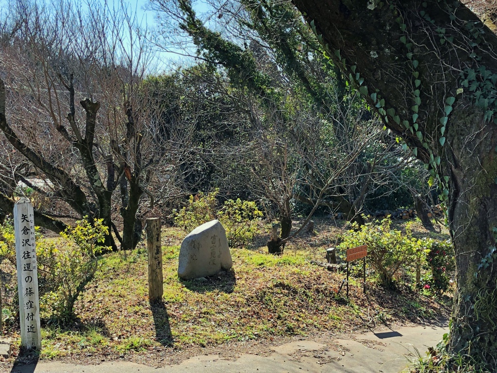 f:id:miwa3k:20190204123510j:plain