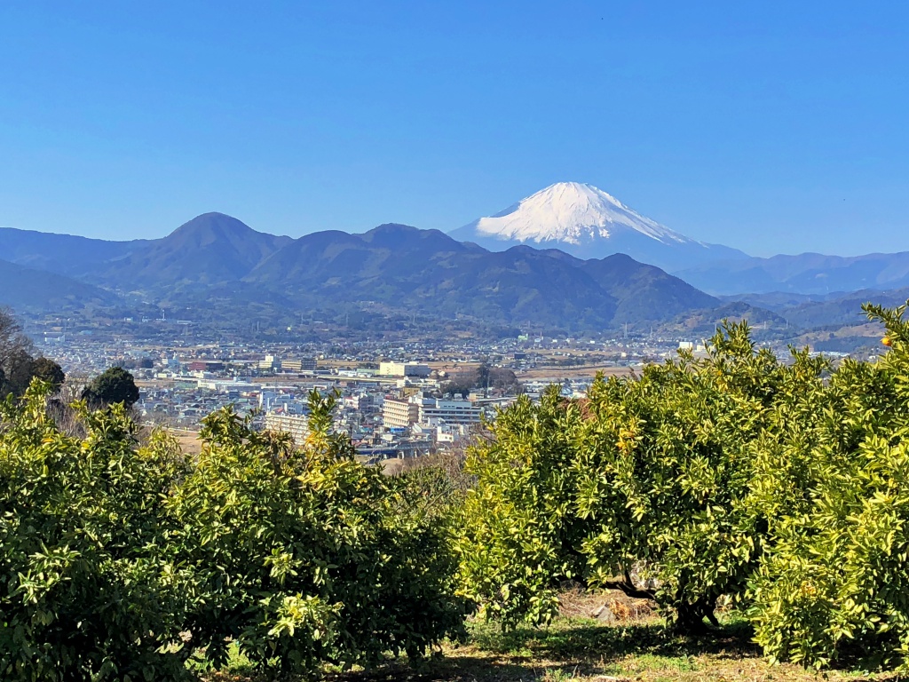 f:id:miwa3k:20190204123513j:plain