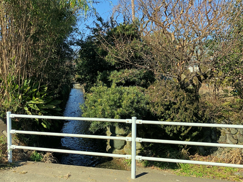 f:id:miwa3k:20190204123520j:plain