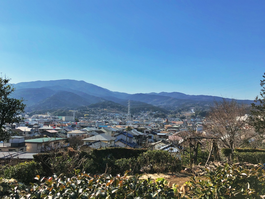 f:id:miwa3k:20190204123528j:plain