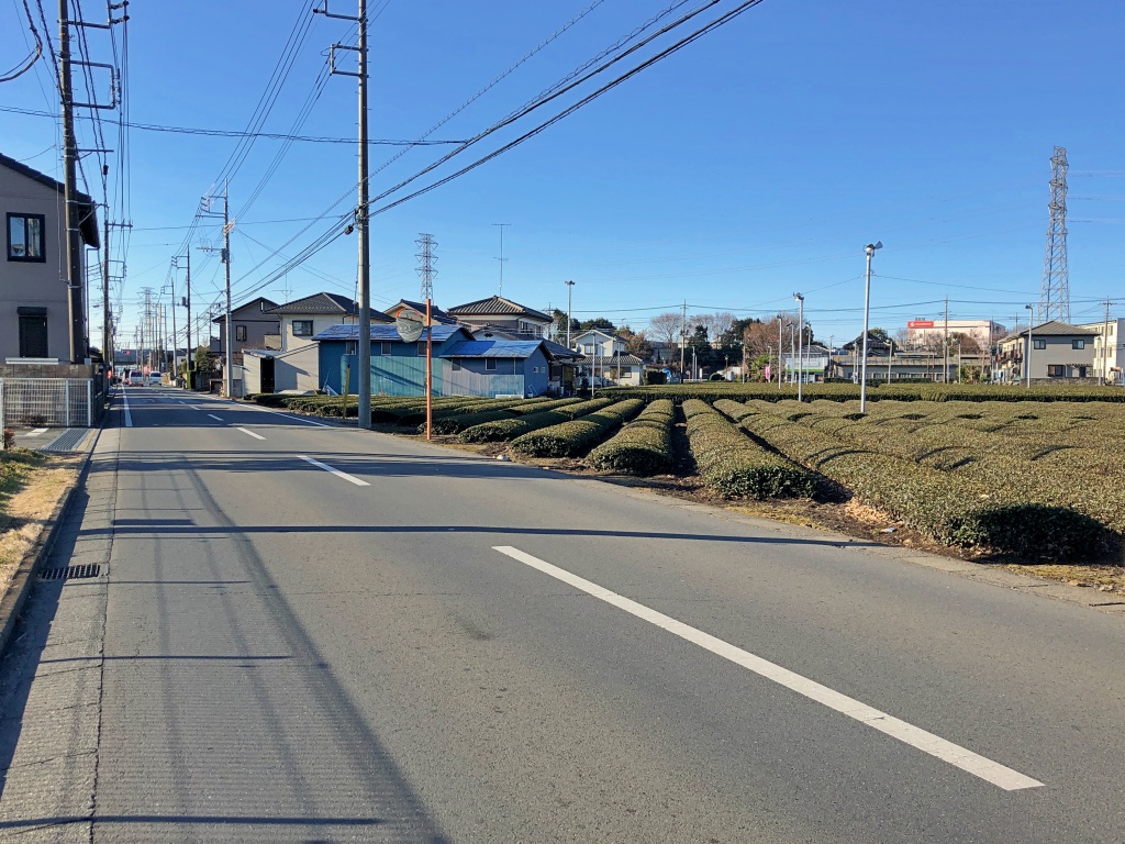 f:id:miwa3k:20190207143611j:plain