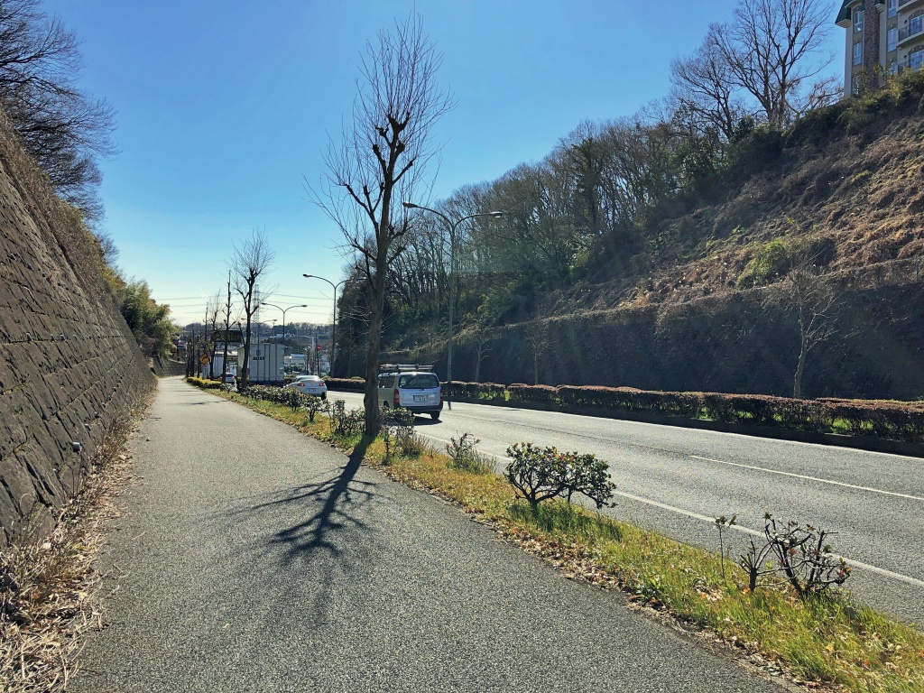 f:id:miwa3k:20190207143634j:plain