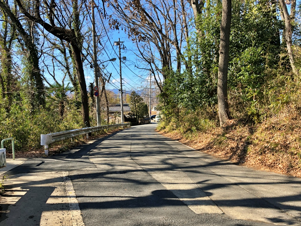 f:id:miwa3k:20190207143637j:plain