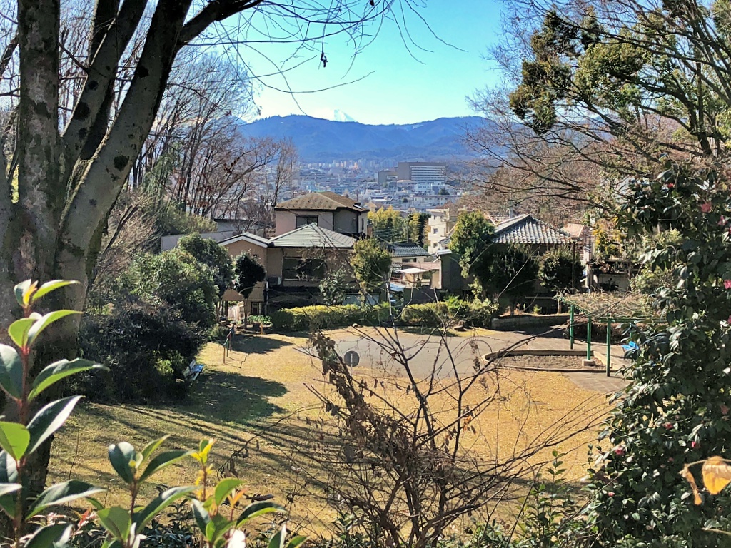 f:id:miwa3k:20190207143639j:plain