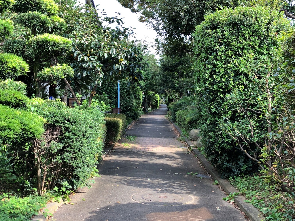 f:id:miwa3k:20190211113908j:plain