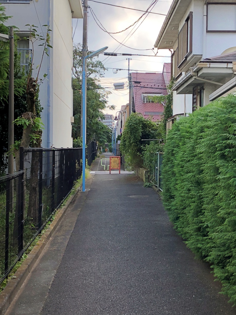f:id:miwa3k:20190211113923j:plain