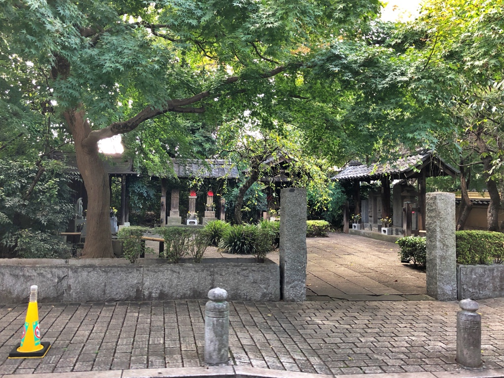 f:id:miwa3k:20190211113924j:plain