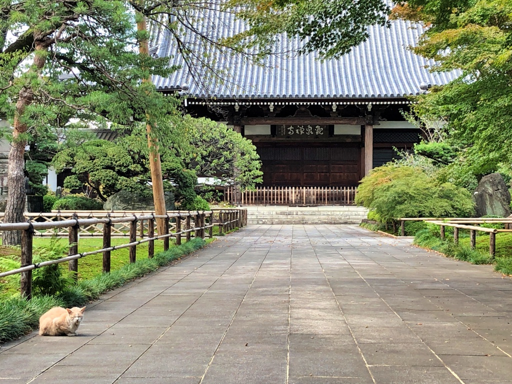 f:id:miwa3k:20190211113925j:plain