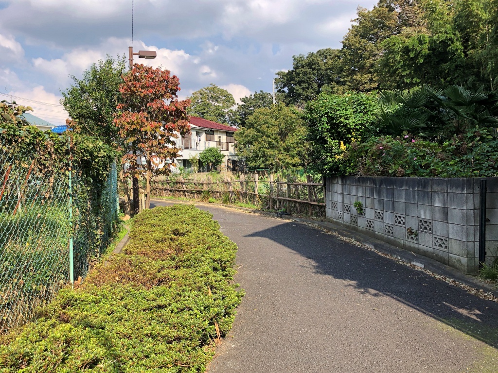f:id:miwa3k:20190211113929j:plain