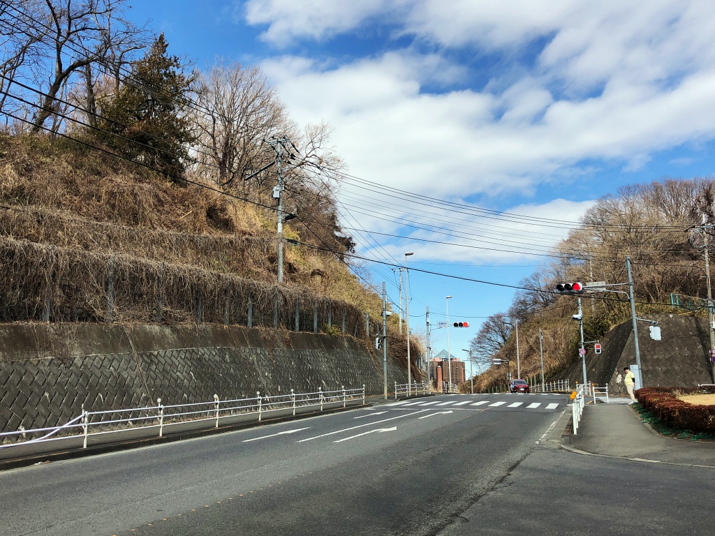 f:id:miwa3k:20190215161117j:plain