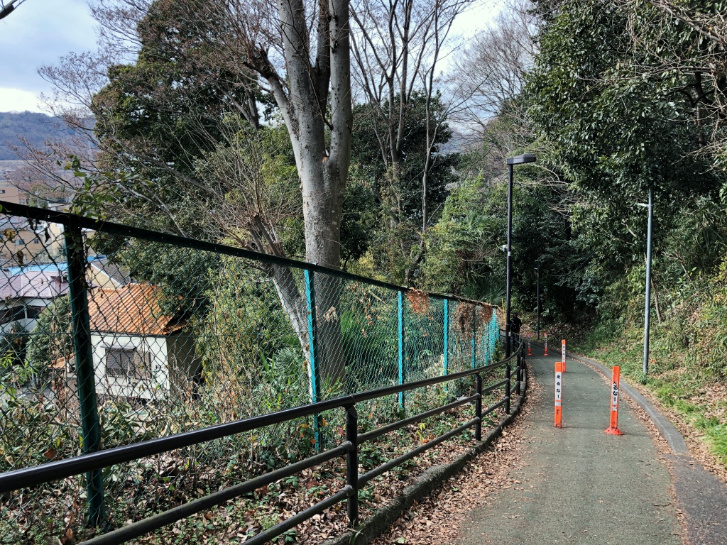 f:id:miwa3k:20190215161132j:plain