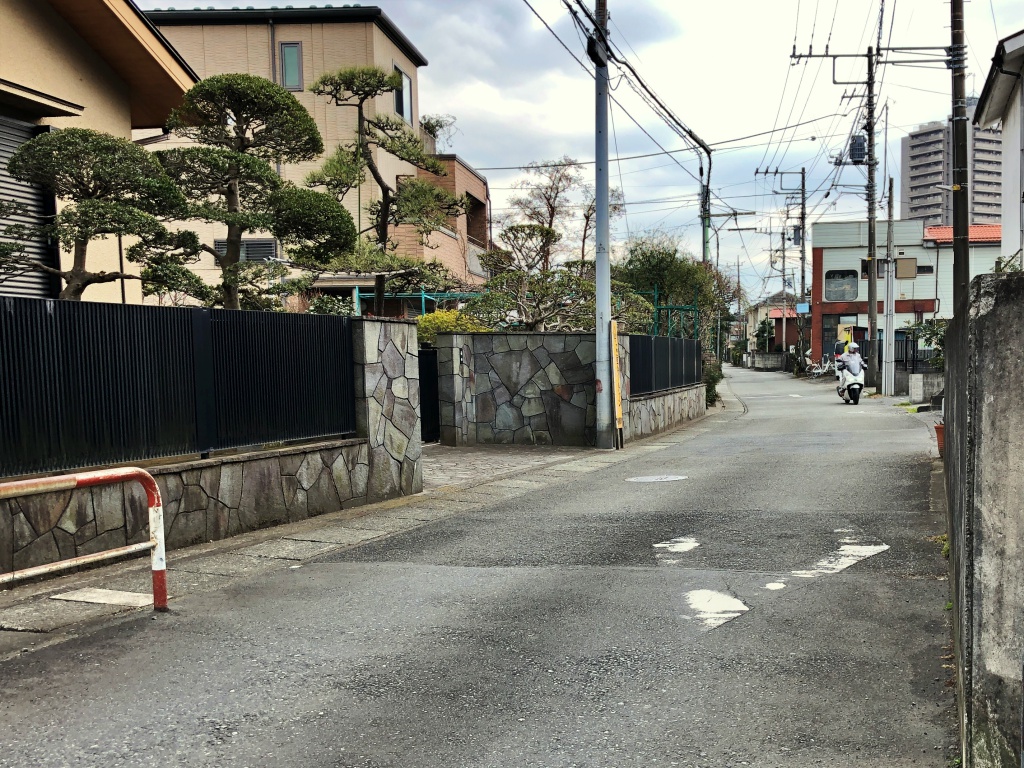 f:id:miwa3k:20190215161133j:plain
