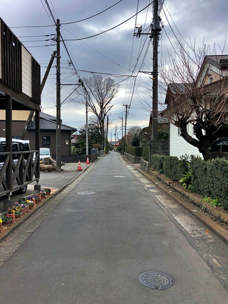 f:id:miwa3k:20190215161139j:plain