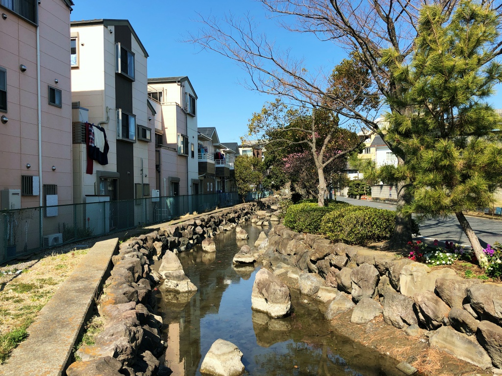 f:id:miwa3k:20190222134343j:plain