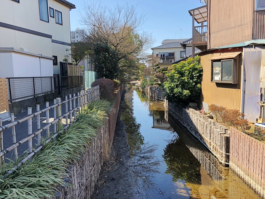 f:id:miwa3k:20190222134345j:plain