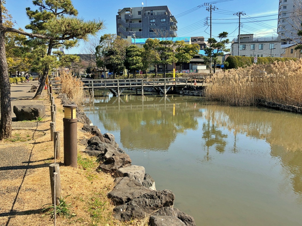 f:id:miwa3k:20190222134347j:plain