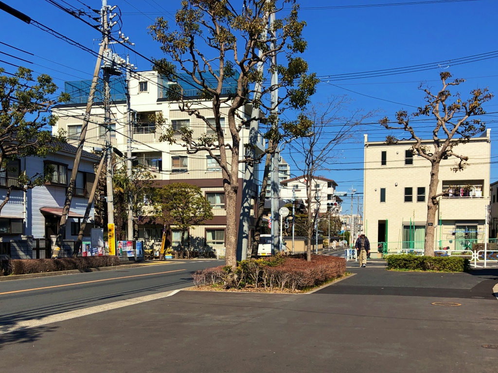f:id:miwa3k:20190222134349j:plain