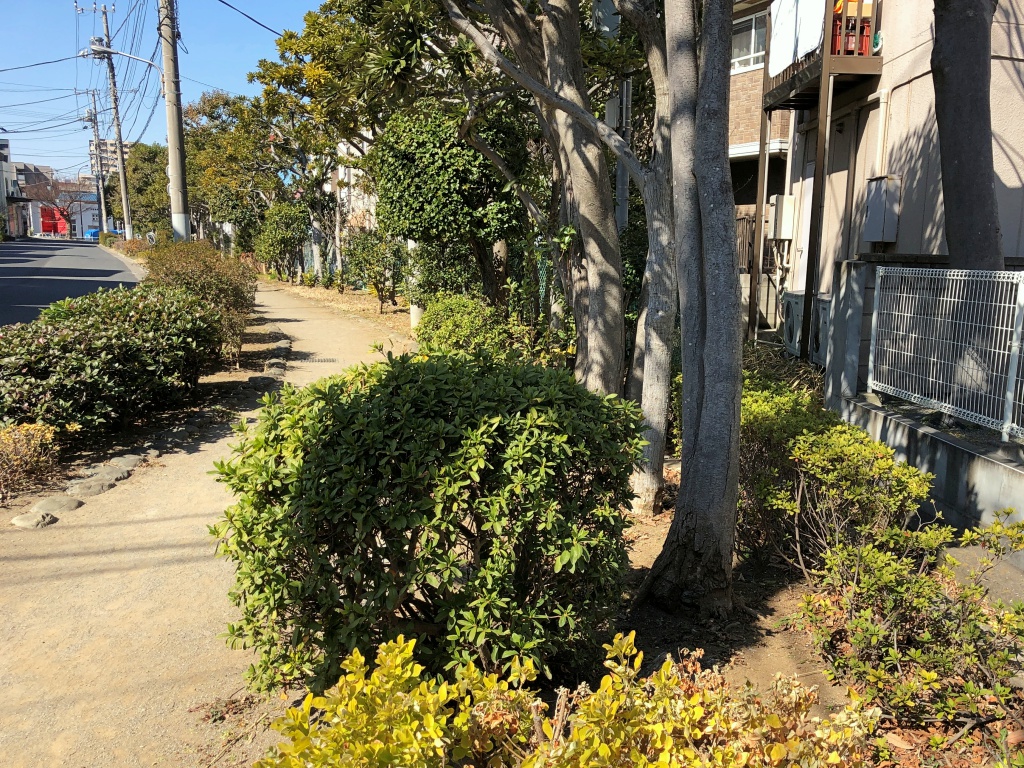 f:id:miwa3k:20190222134355j:plain