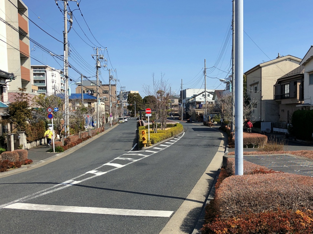 f:id:miwa3k:20190304131327j:plain