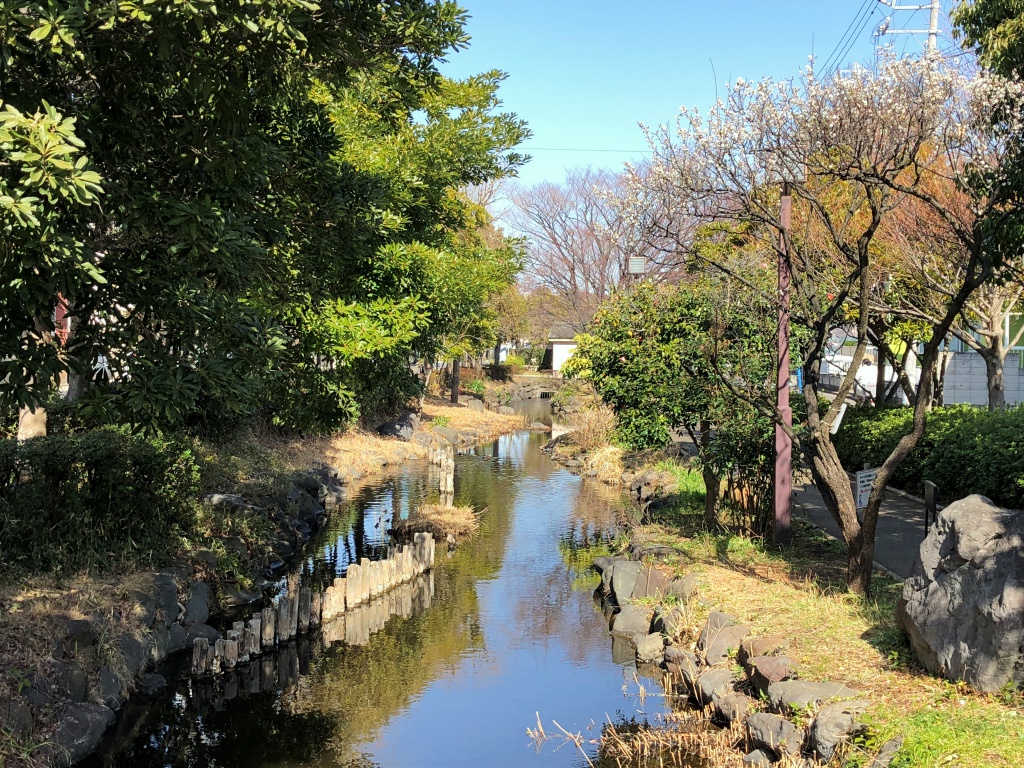f:id:miwa3k:20190304131330j:plain