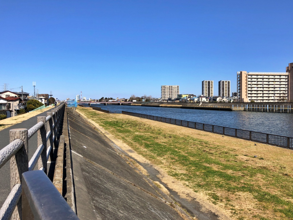 f:id:miwa3k:20190304131338j:plain