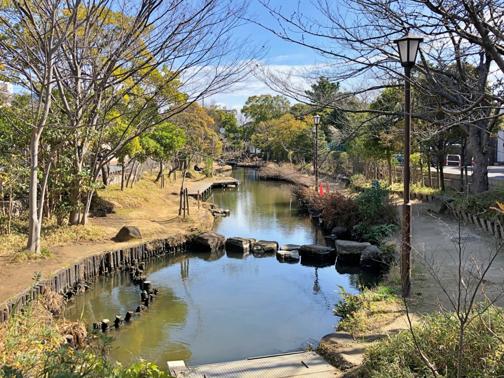 f:id:miwa3k:20190304131340j:plain