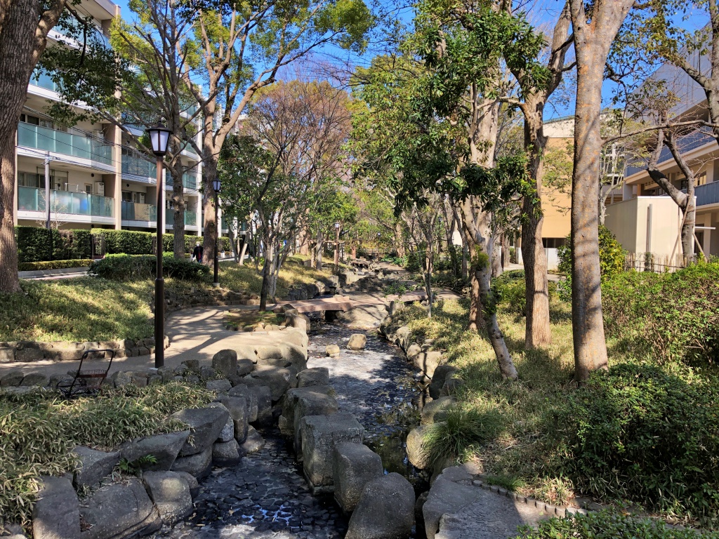 f:id:miwa3k:20190304131344j:plain