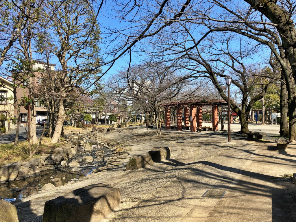 f:id:miwa3k:20190304131346j:plain