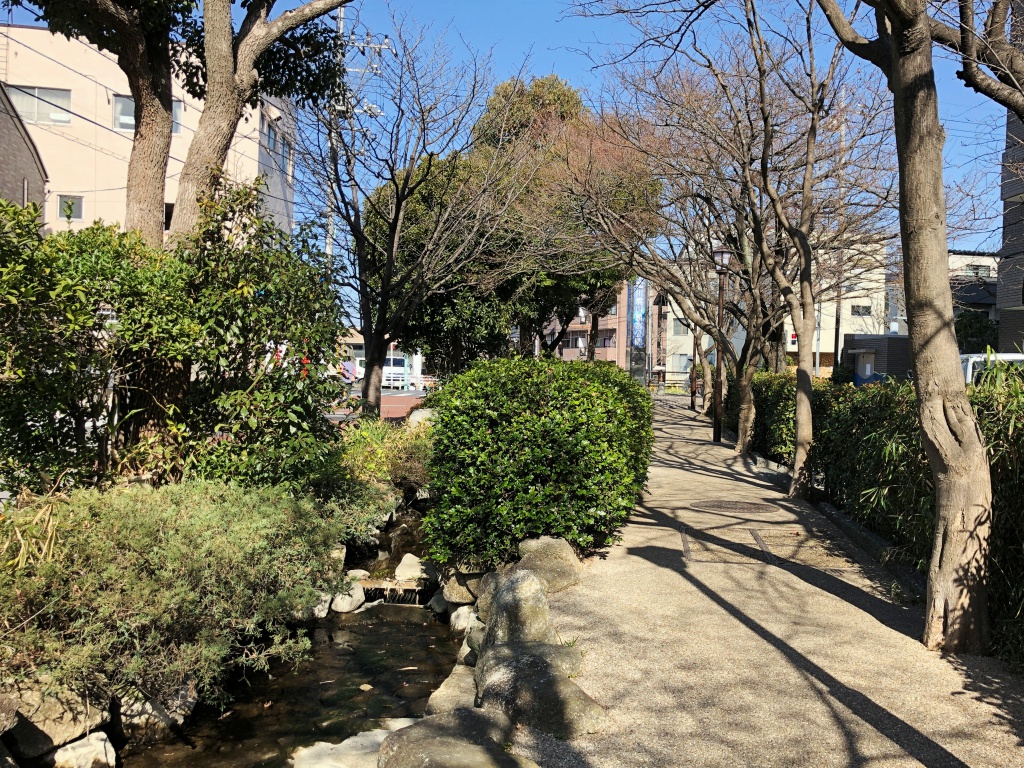 f:id:miwa3k:20190304131350j:plain