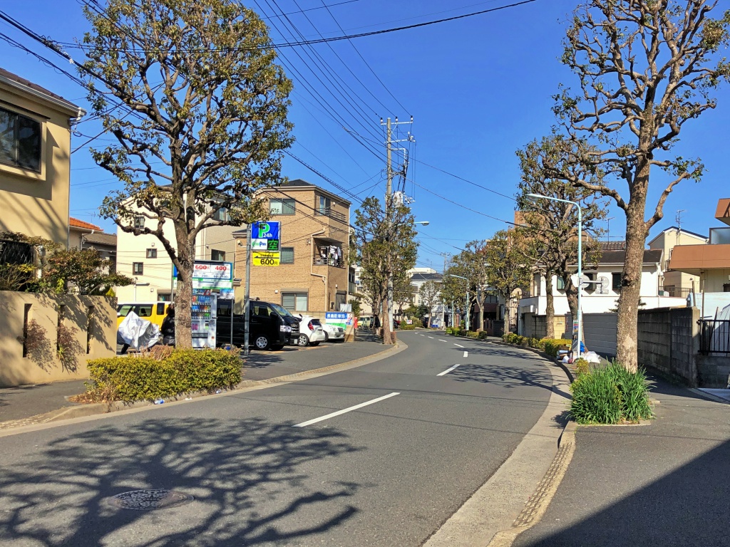 f:id:miwa3k:20190304131351j:plain