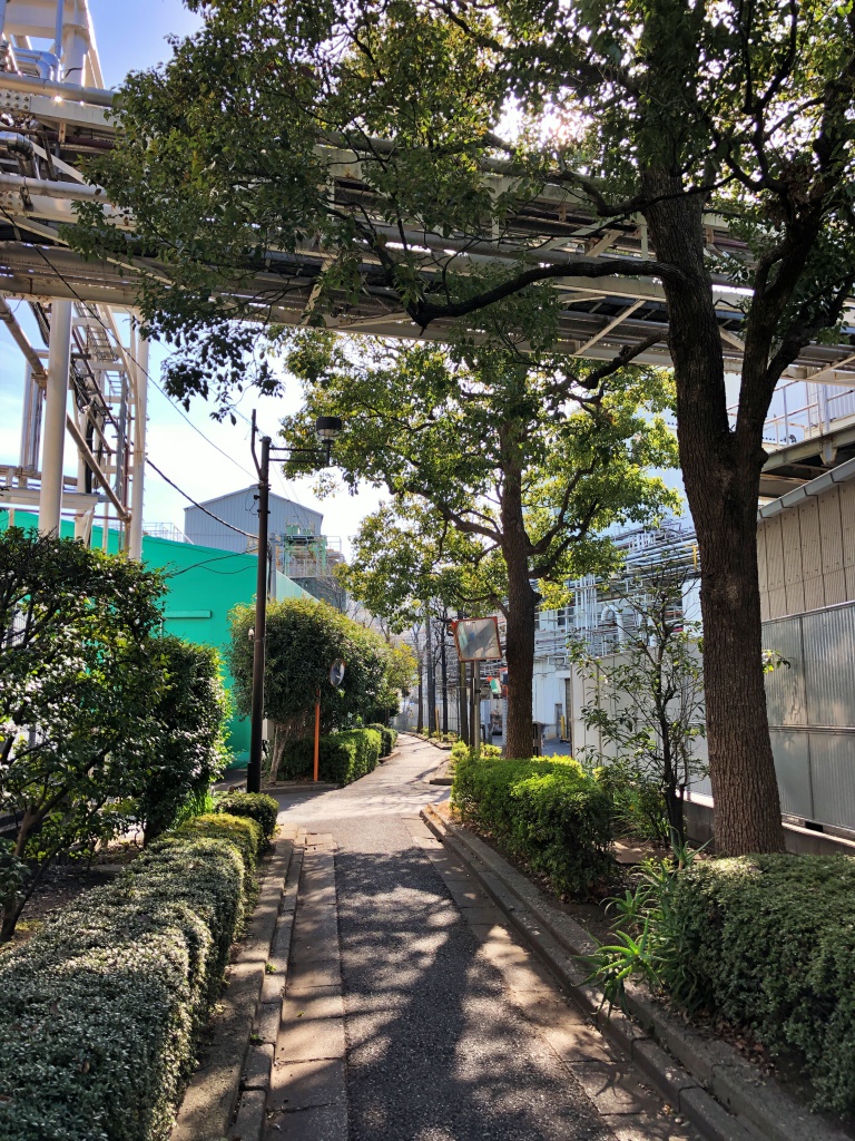 f:id:miwa3k:20190304131356j:plain