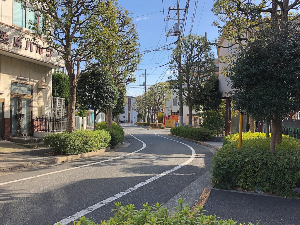 f:id:miwa3k:20190304131358j:plain