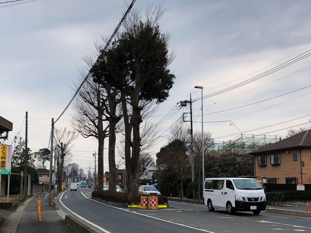 f:id:miwa3k:20190307140635j:plain