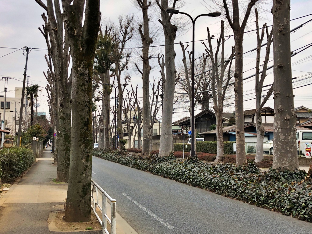 f:id:miwa3k:20190307140637j:plain