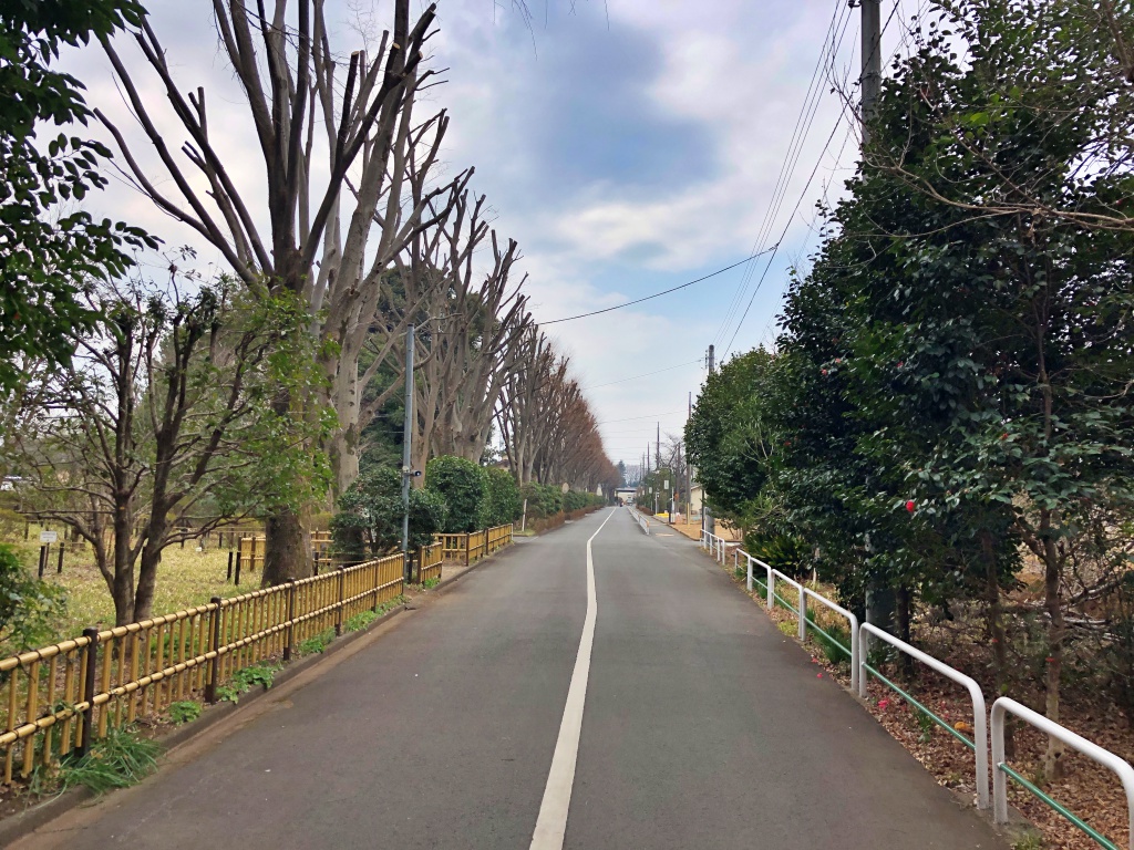 f:id:miwa3k:20190307140641j:plain